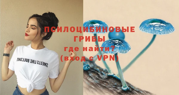 мяу мяу мука Кулебаки