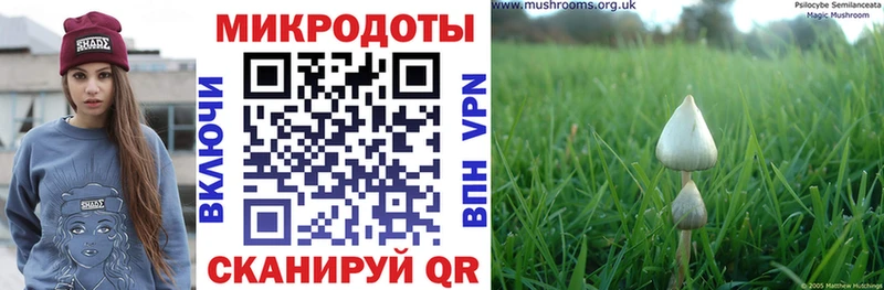 Псилоцибиновые грибы Magic Shrooms  Купить где  Астрахань 